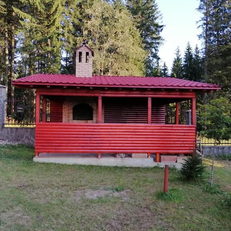 Casa De Vacanta Paraul Rece Dış mekan fotoğraf