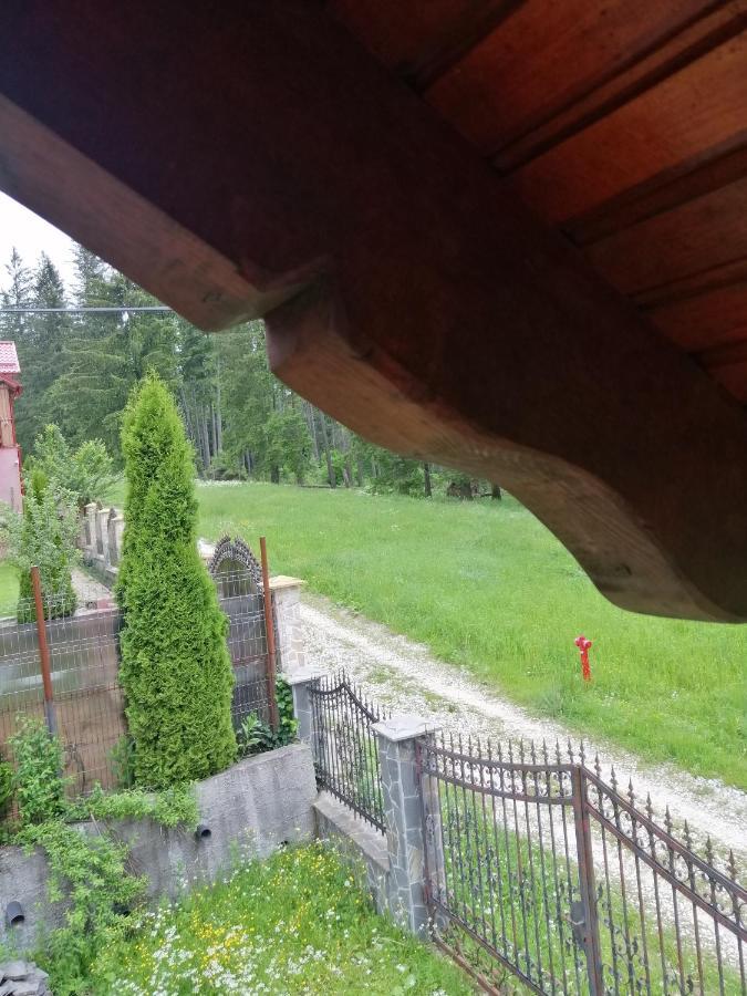 Casa De Vacanta Paraul Rece Dış mekan fotoğraf