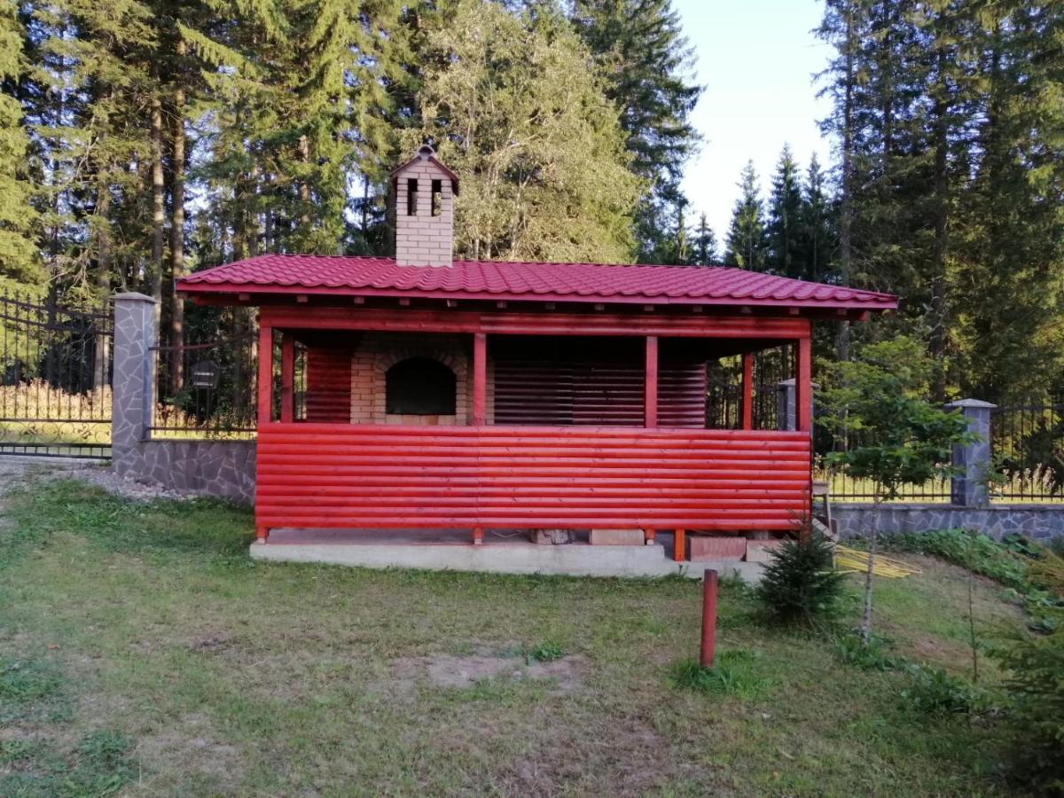 Casa De Vacanta Paraul Rece Dış mekan fotoğraf