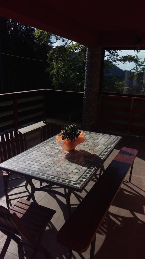 Casa De Vacanta Paraul Rece Dış mekan fotoğraf
